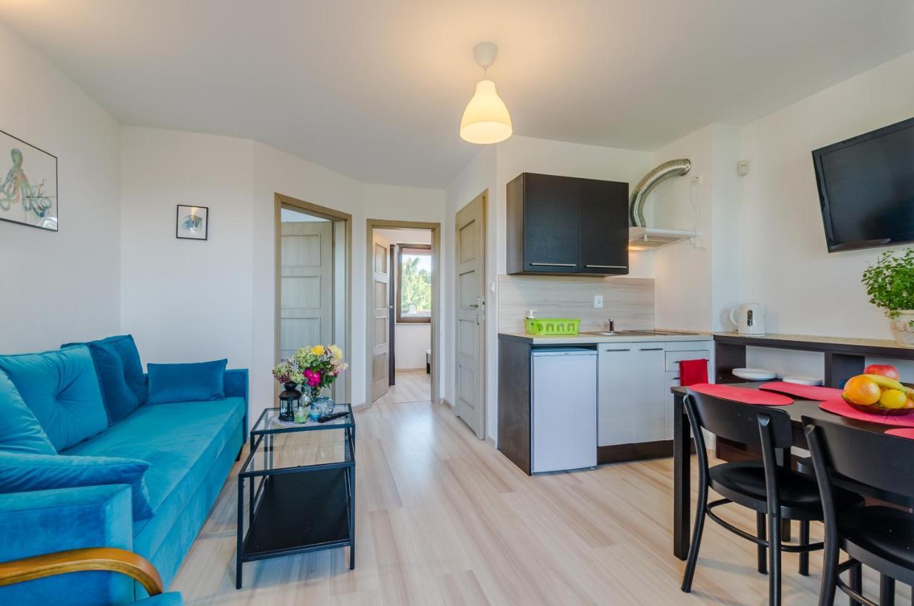 Apartamenty Pod Debem Вице Экстерьер фото